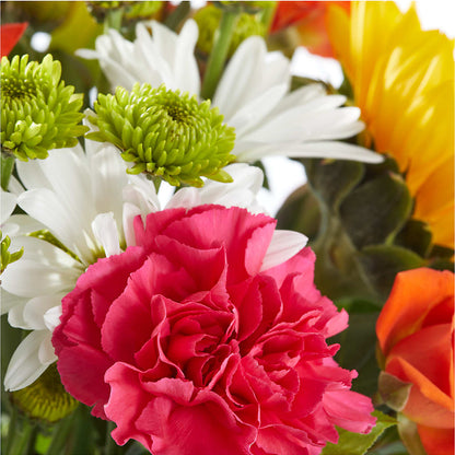Sun-drenched Blooms Bouquet – VASEFUL FLOWERS & GIFTS, Princeton NJ