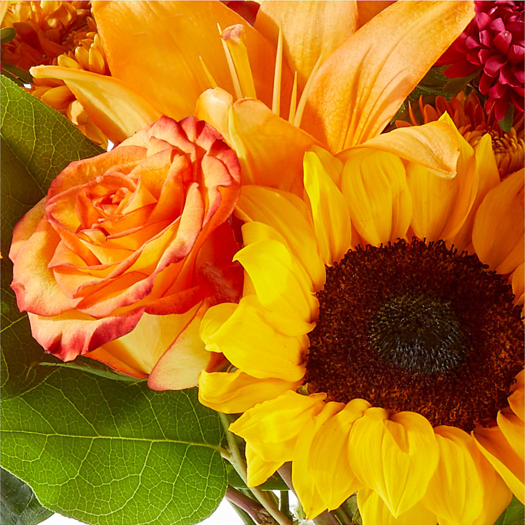 Fall Day Bouquet – VASEFUL FLOWERS & GIFTS, Princeton NJ