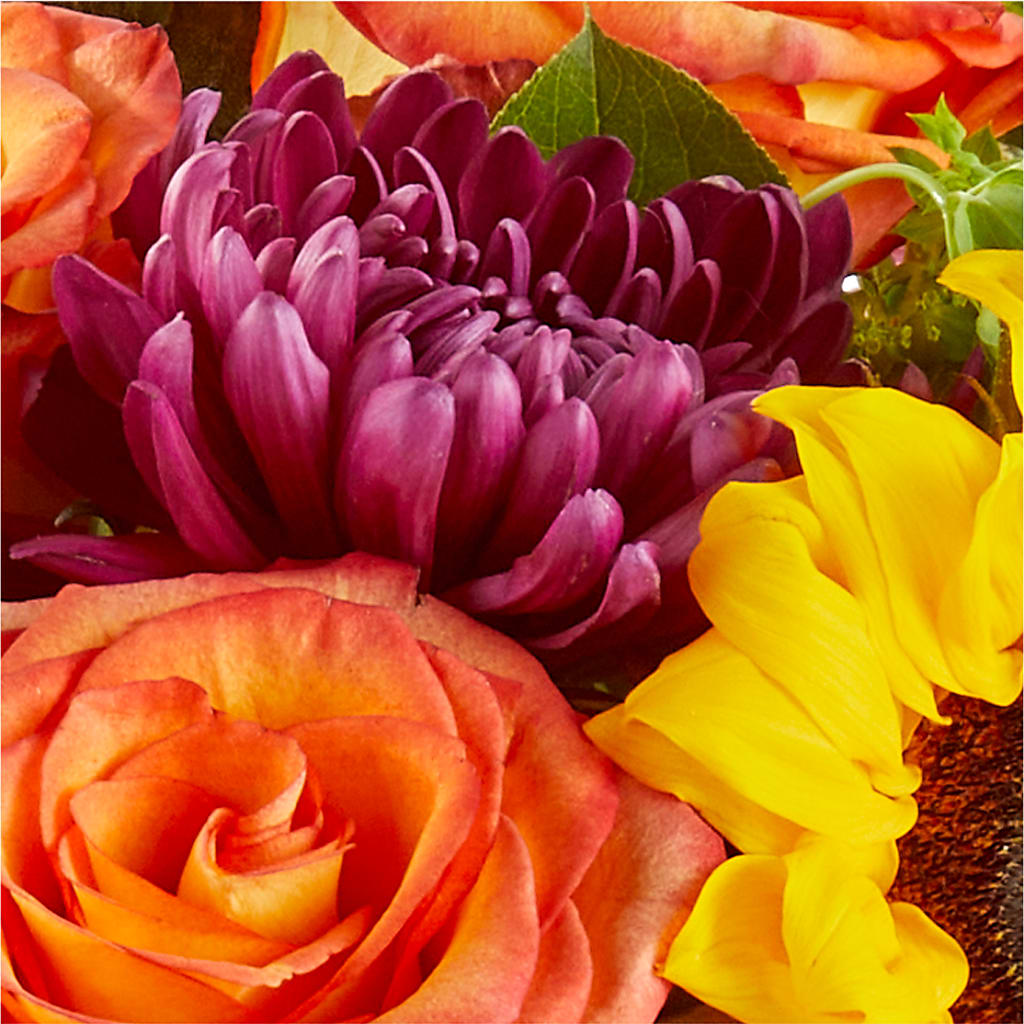 Nature Walk Bouquet – VASEFUL FLOWERS & GIFTS, Princeton NJ
