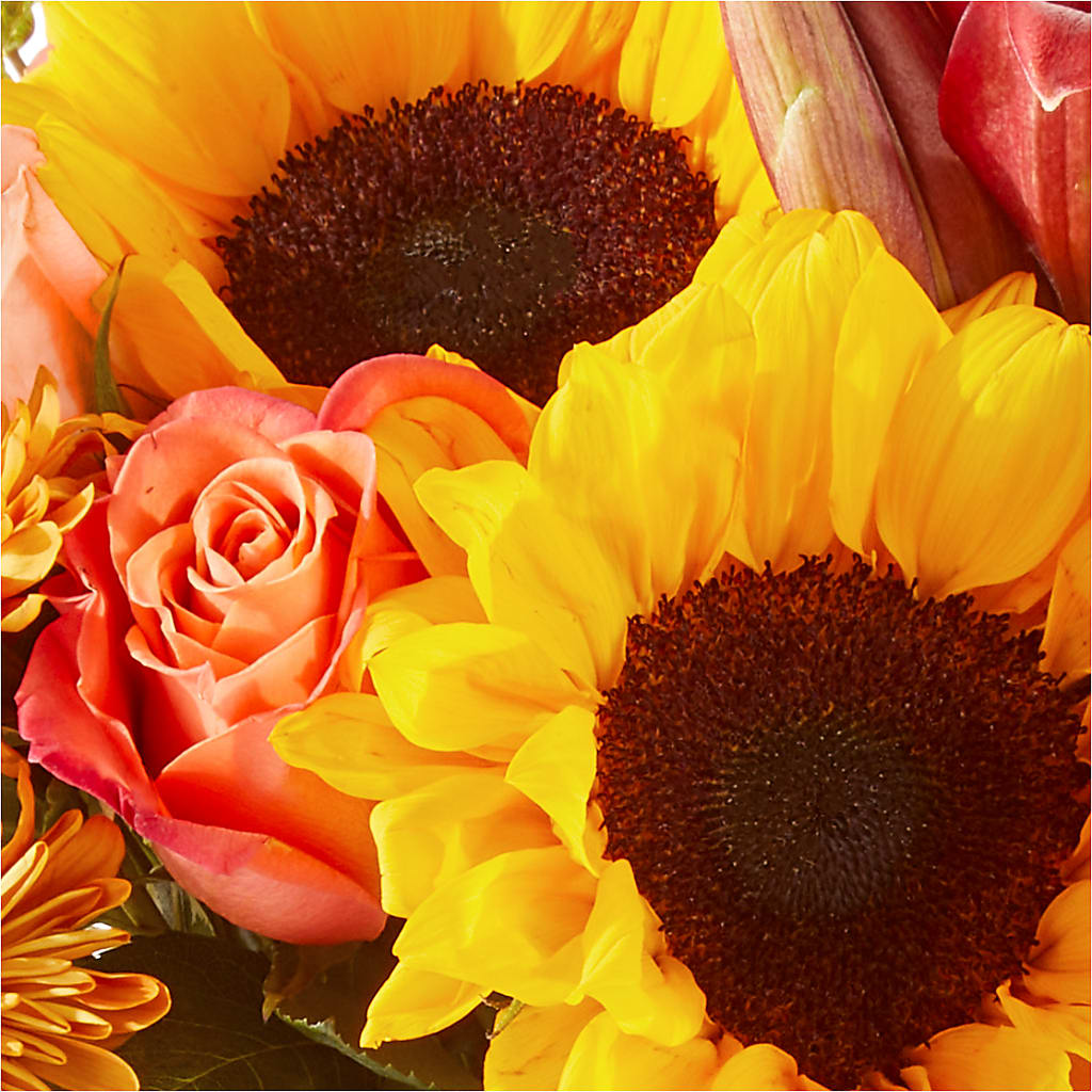 Acorn Lane Bouquet – VASEFUL FLOWERS & GIFTS, Princeton NJ