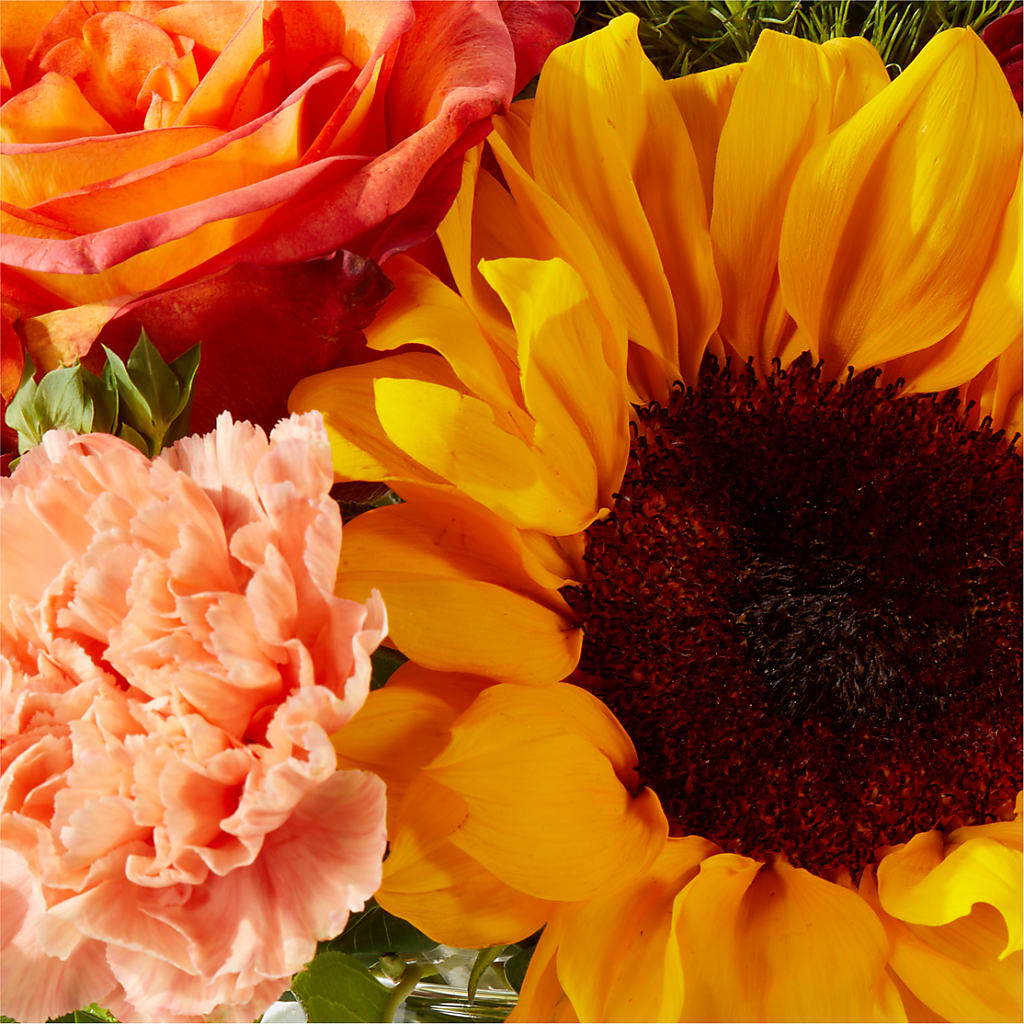 Harvest Festival Bouquet – VASEFUL FLOWERS & GIFTS, Princeton NJ