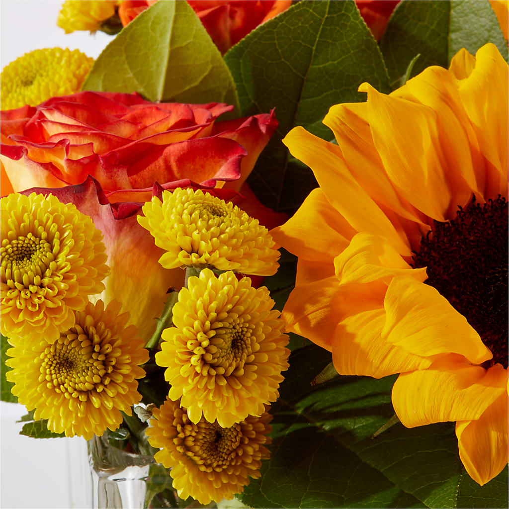Picnic in the Park Bouquet – VASEFUL FLOWERS & GIFTS, Princeton NJ