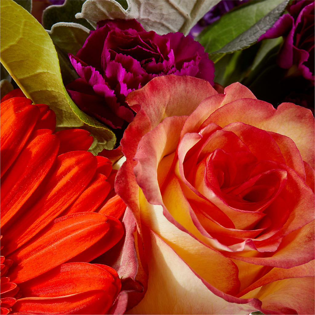 Sangria Bouquet – VASEFUL FLOWERS & GIFTS, Princeton NJ