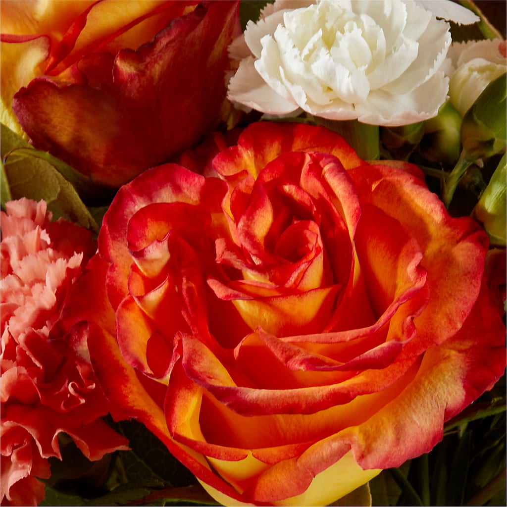 Apricot Glow Bouquet – VASEFUL FLOWERS & GIFTS, Princeton NJ