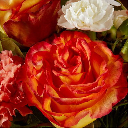 Apricot Glow Bouquet – VASEFUL FLOWERS & GIFTS, Princeton NJ