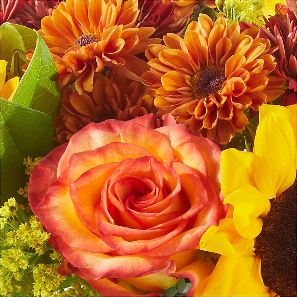 Flannel Scarf Bouquet – VASEFUL FLOWERS & GIFTS, Princeton NJ