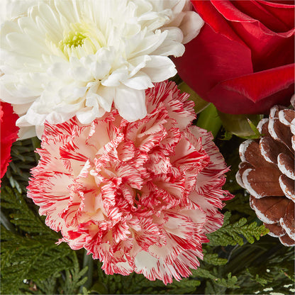 Candy Cane Lane Bouquet – VASEFUL FLOWERS & GIFTS, Princeton NJ
