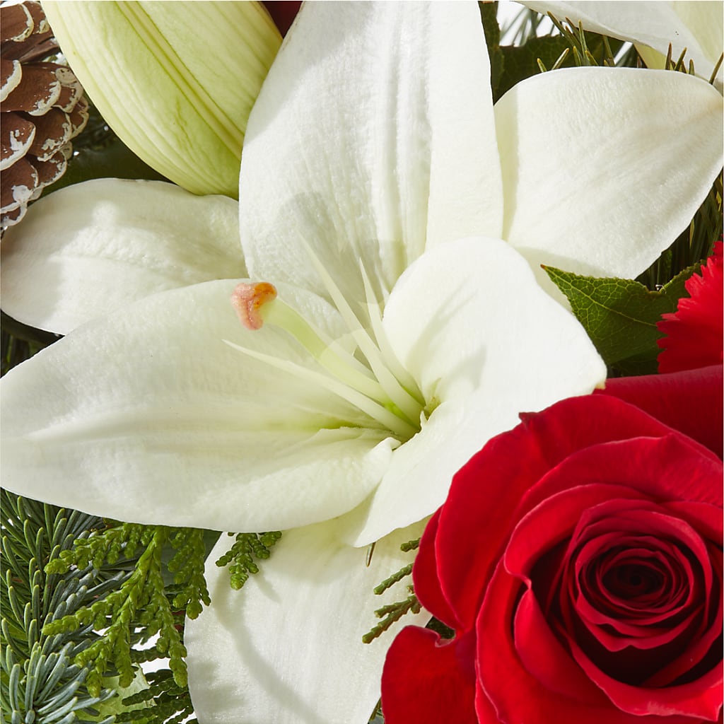 Oh So Jolly Bouquet – VASEFUL FLOWERS & GIFTS, Princeton NJ