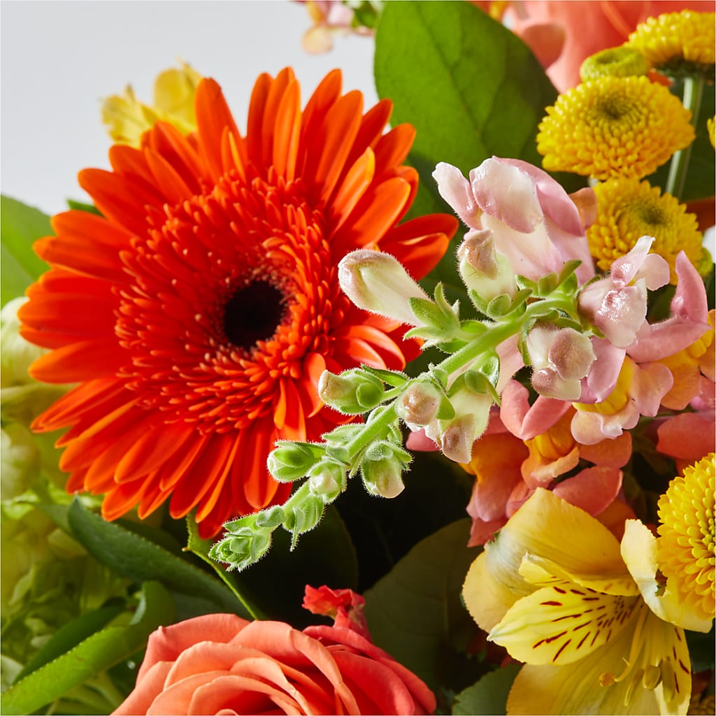 Autumn Sunshine Bouquet – VASEFUL FLOWERS & GIFTS, Princeton NJ