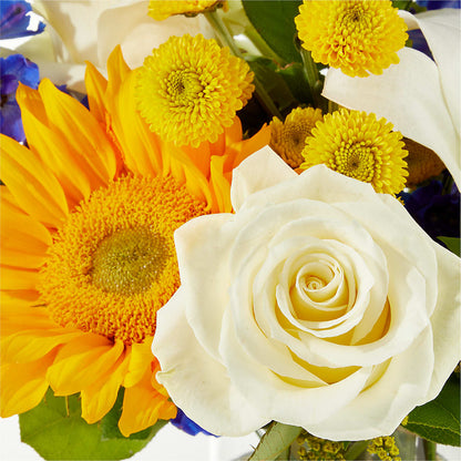 Stargazing Bouquet – VASEFUL FLOWERS & GIFTS, Princeton NJ