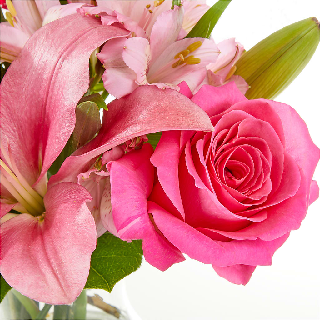 Lots of Love Bouquet – VASEFUL FLOWERS & GIFTS, Princeton NJ