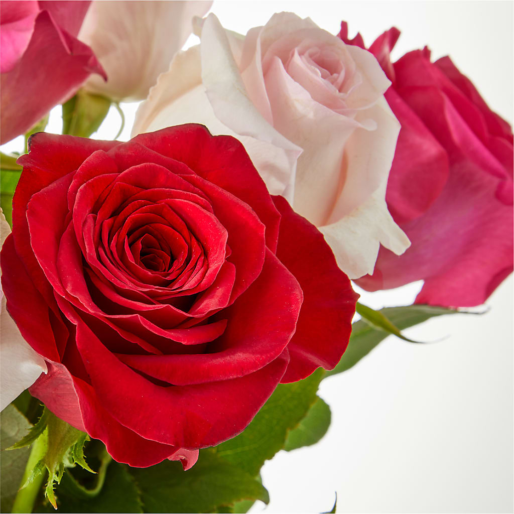 Charming Rose Bouquet – VASEFUL FLOWERS & GIFTS, Princeton NJ