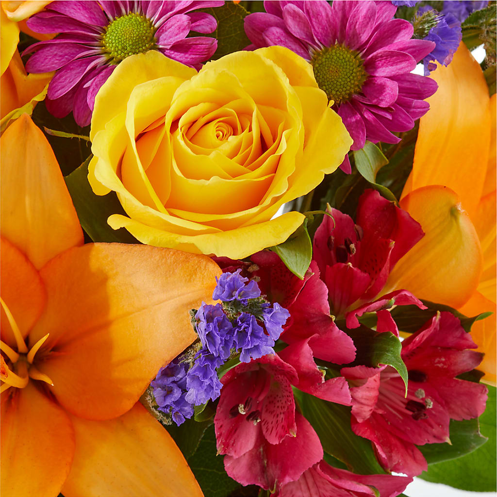 Colorful Visions Bouquet – VASEFUL FLOWERS & GIFTS, Princeton NJ