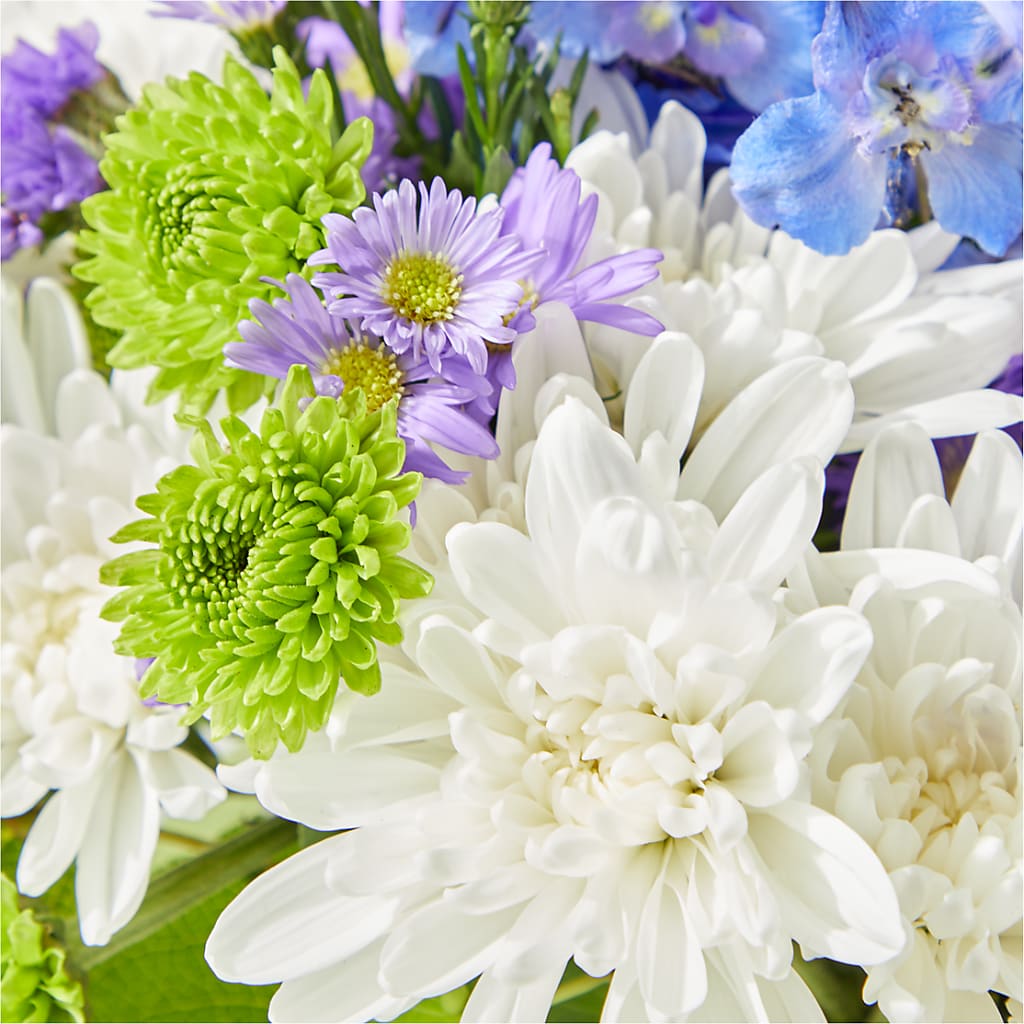 Genuine Gestures Bouquet – VASEFUL FLOWERS & GIFTS, Princeton NJ