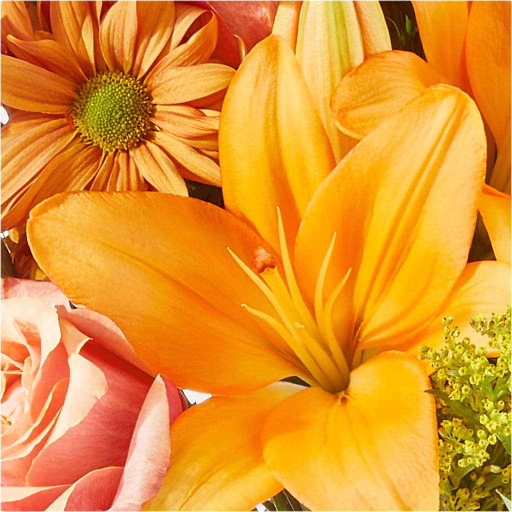 Harvest Hayride Bouquet – VASEFUL FLOWERS & GIFTS, Princeton NJ