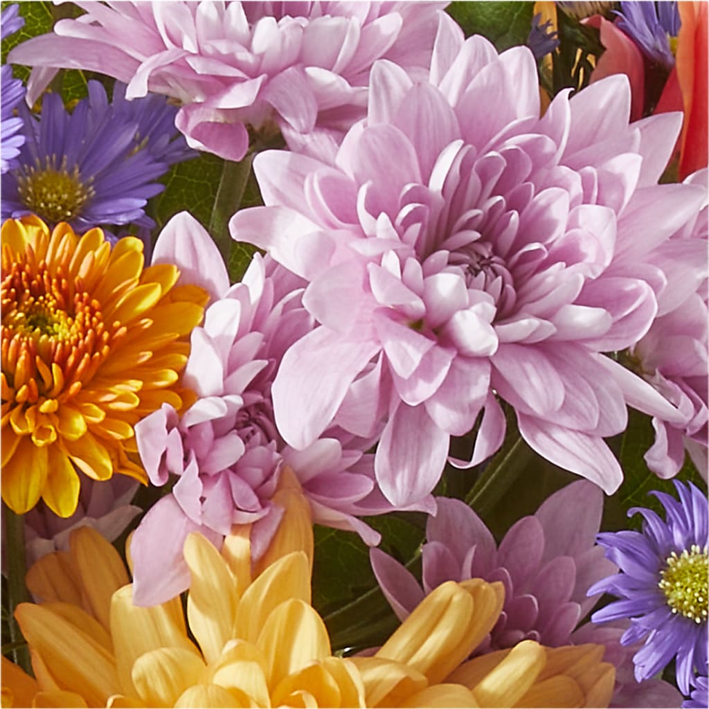 Countryside Bouquet – VASEFUL FLOWERS & GIFTS, Princeton NJ