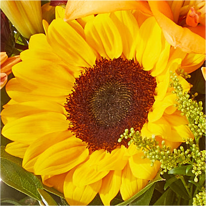 Seasons Change Bouquet – VASEFUL FLOWERS & GIFTS, Princeton NJ