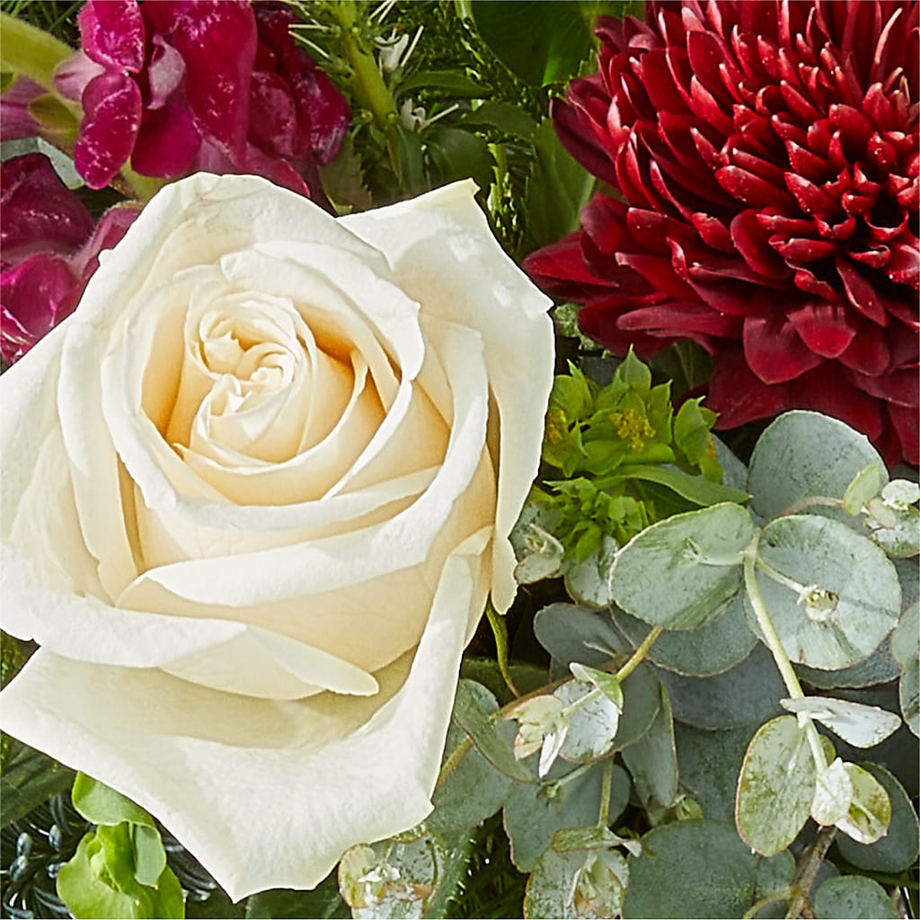 Cranberry Fizz Bouquet – VASEFUL FLOWERS & GIFTS, Princeton NJ