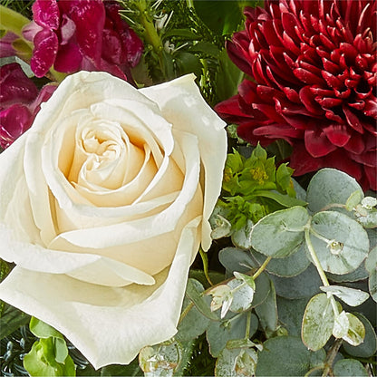 Cranberry Fizz Bouquet – VASEFUL FLOWERS & GIFTS, Princeton NJ