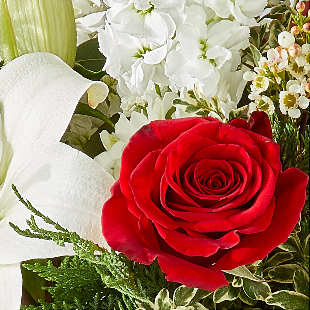 Twinkle Lights Bouquet – VASEFUL FLOWERS & GIFTS, Princeton NJ
