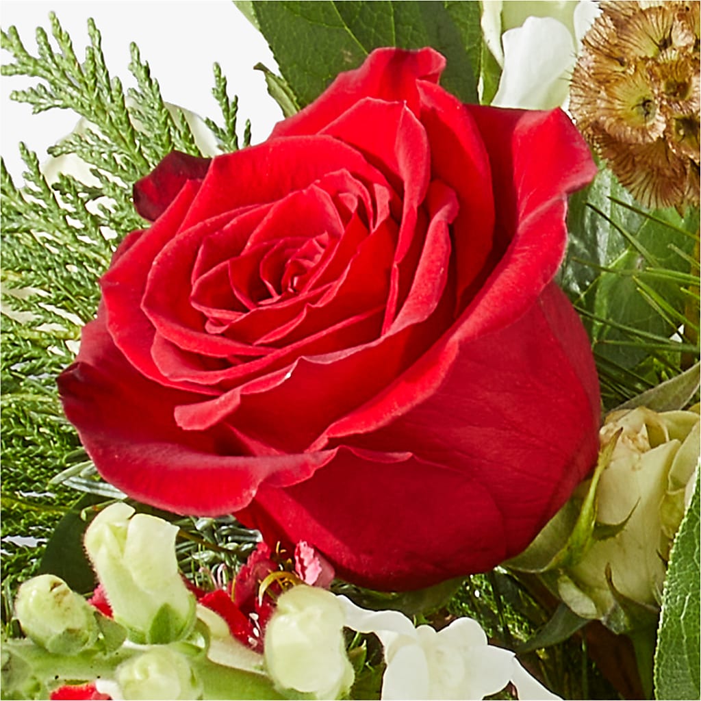 Deck the Halls Bouquet – VASEFUL FLOWERS & GIFTS, Princeton NJ