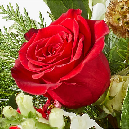 Deck the Halls Bouquet – VASEFUL FLOWERS & GIFTS, Princeton NJ