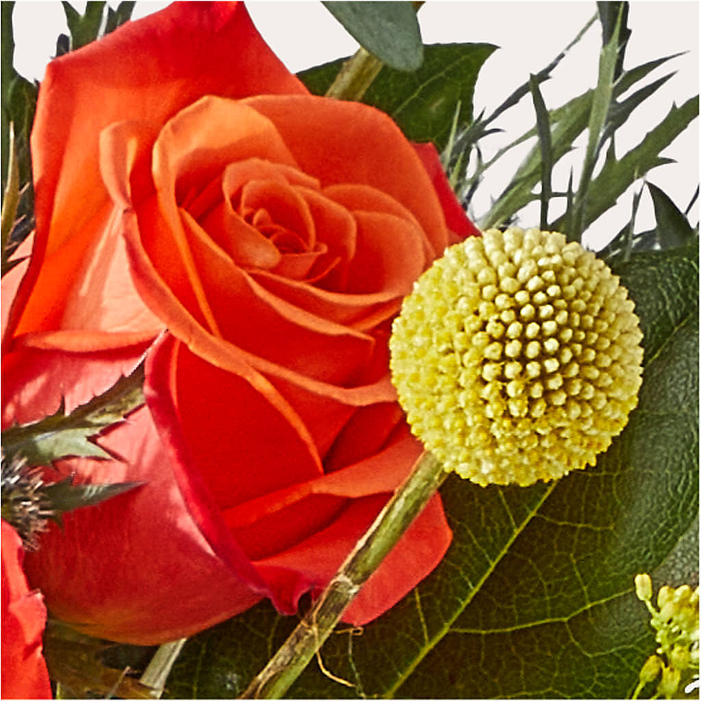 Disco Bouquet – VASEFUL FLOWERS & GIFTS, Princeton NJ