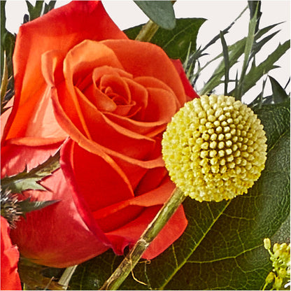 Disco Bouquet – VASEFUL FLOWERS & GIFTS, Princeton NJ