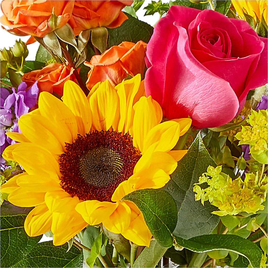 Vibrant Greetings Bouquet – VASEFUL FLOWERS & GIFTS, Princeton NJ