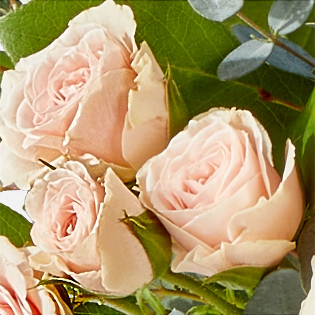 Inspired Bouquet – VASEFUL FLOWERS & GIFTS, Princeton NJ