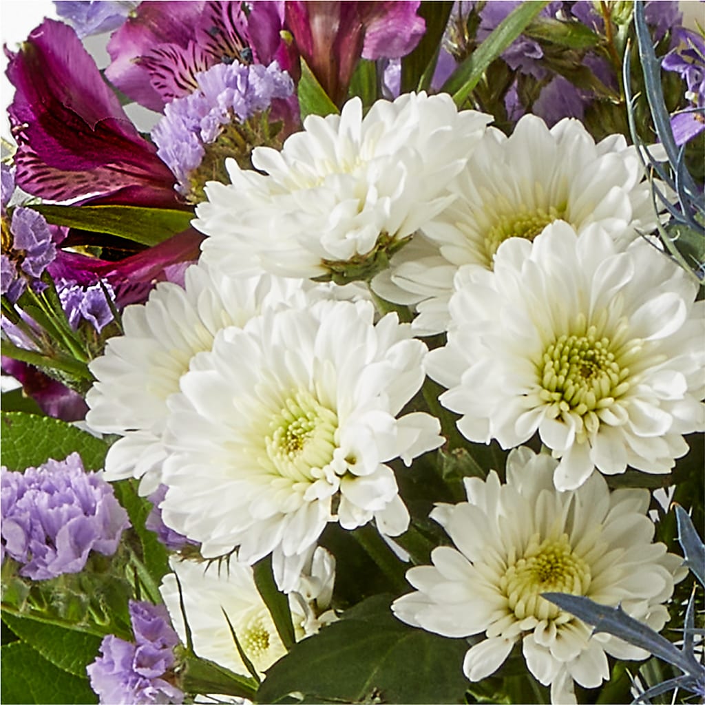 Shooting Star Bouquet – VASEFUL FLOWERS & GIFTS, Princeton NJ