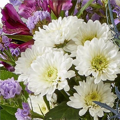 Shooting Star Bouquet – VASEFUL FLOWERS & GIFTS, Princeton NJ