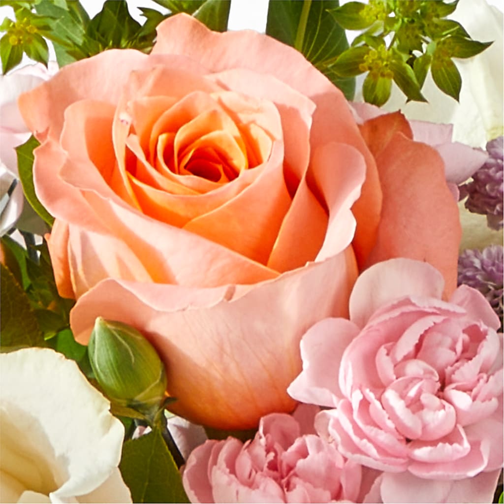 French Market Bouquet – VASEFUL FLOWERS & GIFTS, Princeton NJ