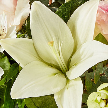 Ballet Slippers Bouquet – VASEFUL FLOWERS & GIFTS, Princeton NJ