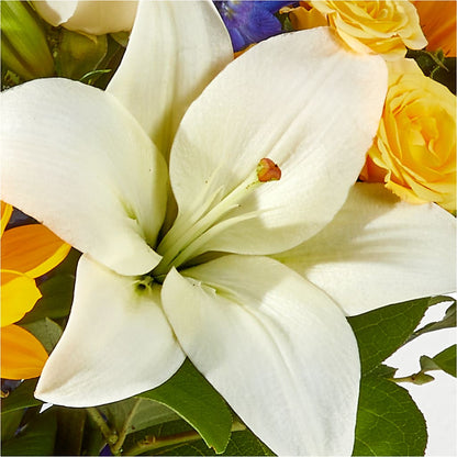 Wonderfully Sunny Bouquet – VASEFUL FLOWERS & GIFTS, Princeton NJ