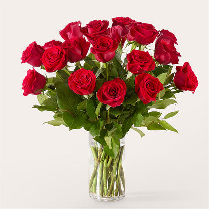 The One Red Rose Bouquet – VASEFUL FLOWERS & GIFTS, Princeton NJ
