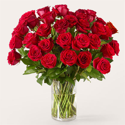 The One Red Rose Bouquet – VASEFUL FLOWERS & GIFTS, Princeton NJ