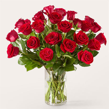 The One Red Rose Bouquet – VASEFUL FLOWERS & GIFTS, Princeton NJ