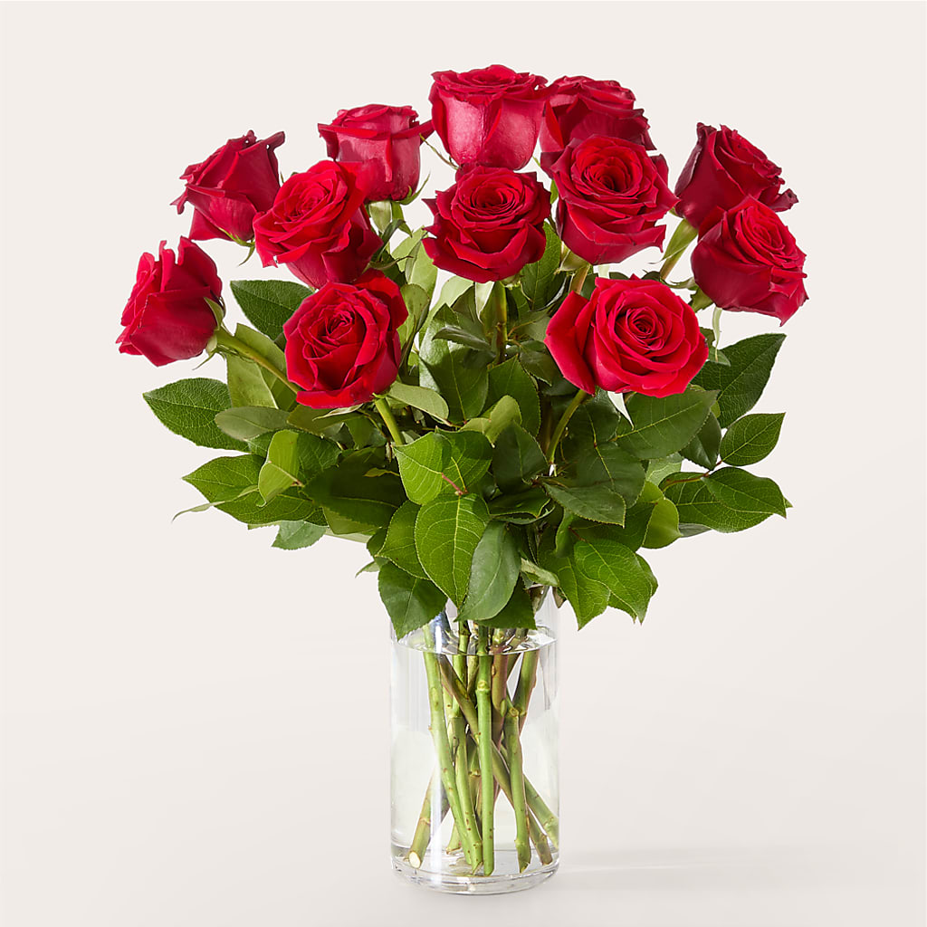The One Red Rose Bouquet – VASEFUL FLOWERS & GIFTS, Princeton NJ