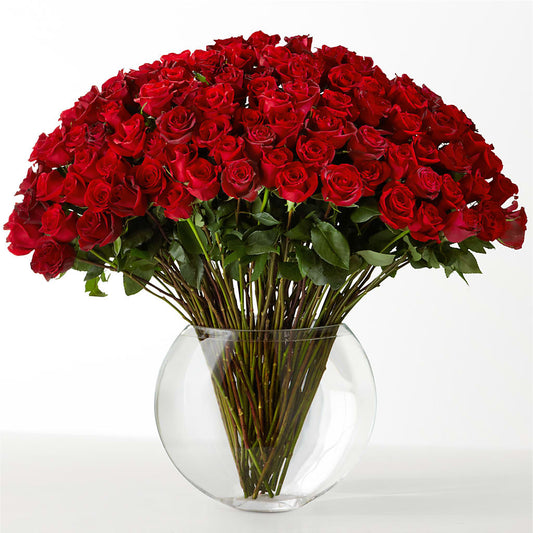 The Idealist – VASEFUL FLOWERS & GIFTS, Princeton NJ