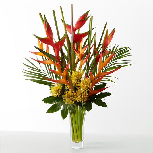 The Drama – VASEFUL FLOWERS & GIFTS, Princeton NJ