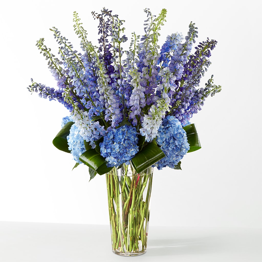 The Editorial – VASEFUL FLOWERS & GIFTS, Princeton NJ
