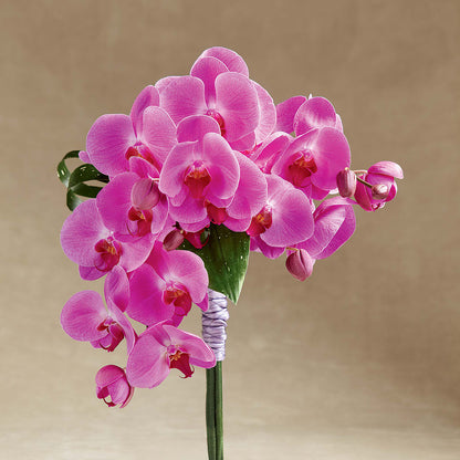 Glorious Bouquet – VASEFUL FLOWERS & GIFTS, Princeton NJ