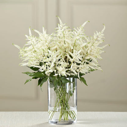 White Astilbe Bouquet – VASEFUL FLOWERS & GIFTS, Princeton NJ