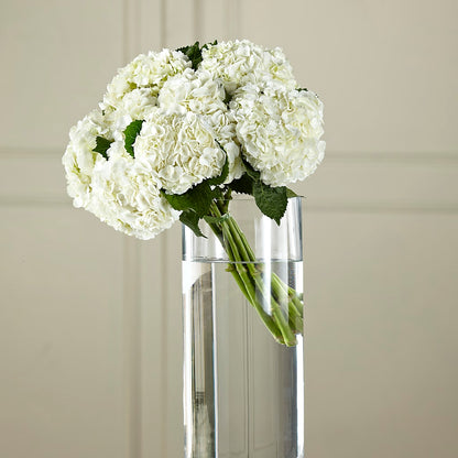 White Hydrangea Hand-Tied Bouquet – VASEFUL FLOWERS & GIFTS, Princeton NJ