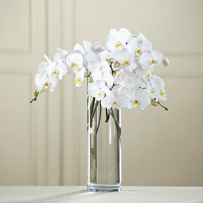 White Phalaenopsis Bouquet – VASEFUL FLOWERS & GIFTS, Princeton NJ