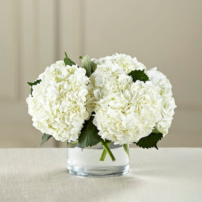 White Hydrangea Bouquet – VASEFUL FLOWERS & GIFTS, Princeton NJ