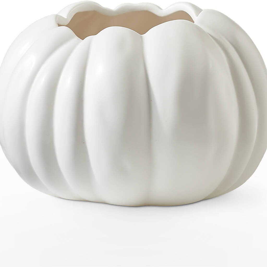 Pumpkin to Talk About Bouquet – VASEFUL FLOWERS & GIFTS, Princeton NJ